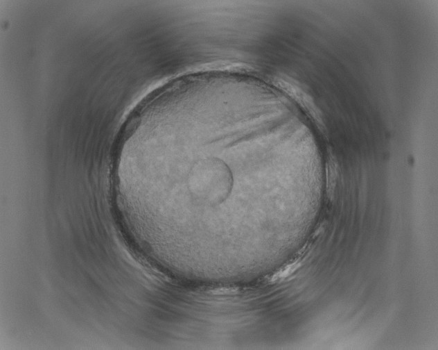 X0000067350156200604281451