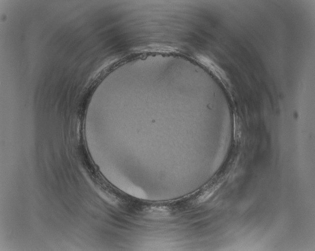 X0000067350157200604281451