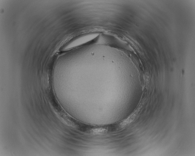 X0000067350158200604281451