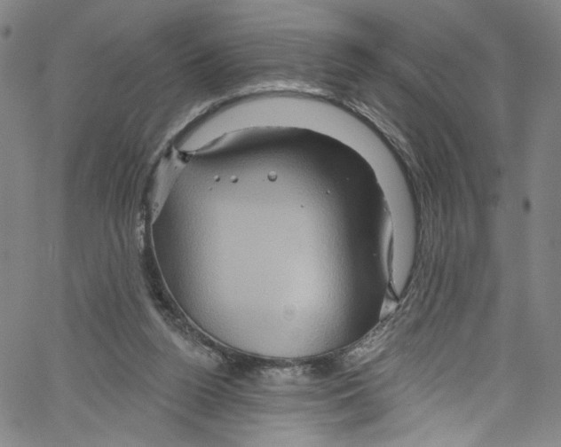 X0000067350160200604281451