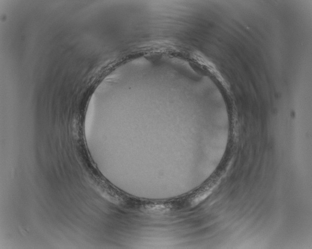 X0000067350161200604281451