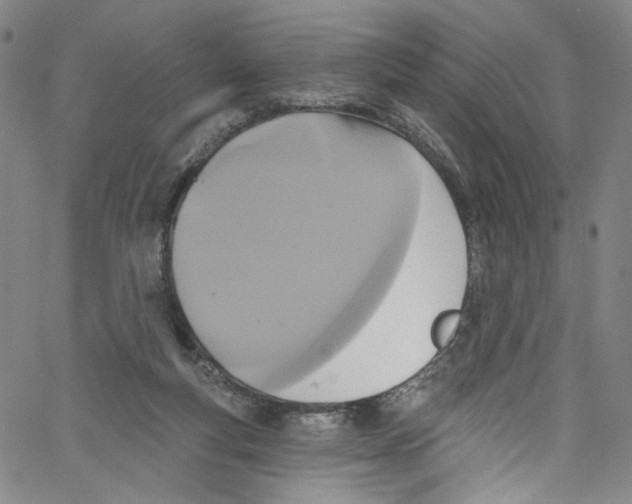 X0000067350163200604281451