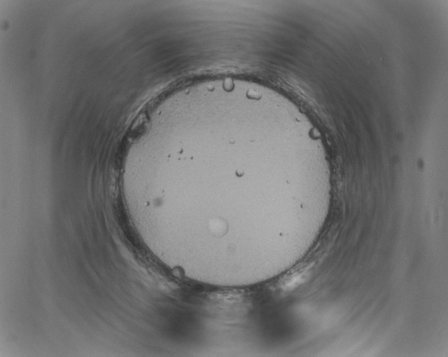 X0000067350164200604281451