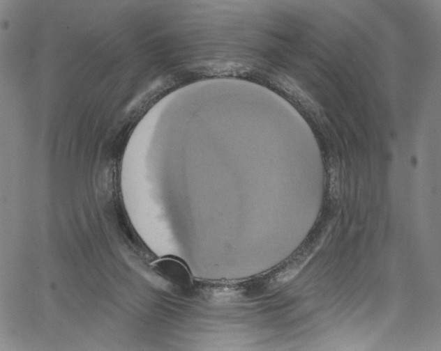 X0000067350165200604281451