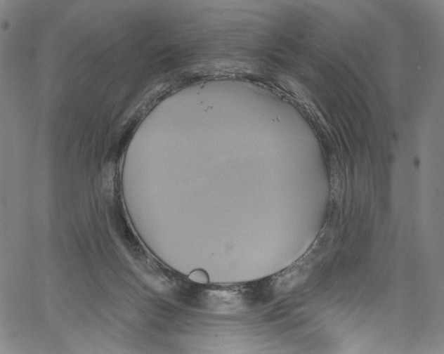 X0000067350167200604281451