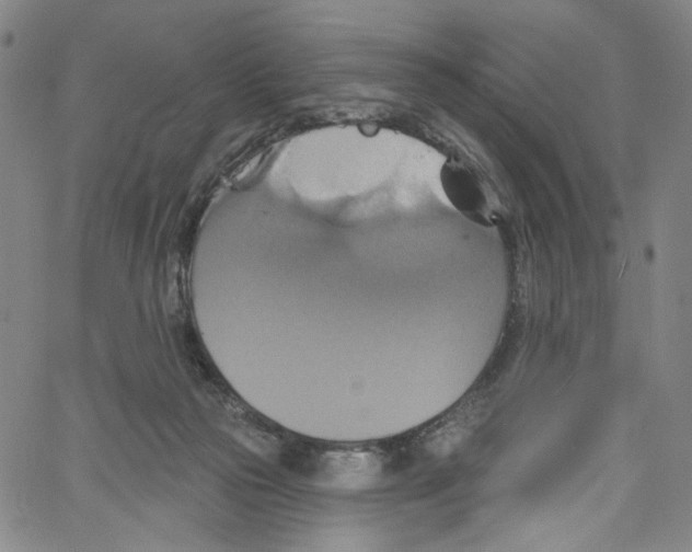 X0000067350169200604281451