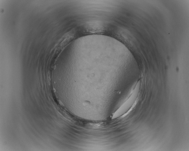 X0000067350170200604281451