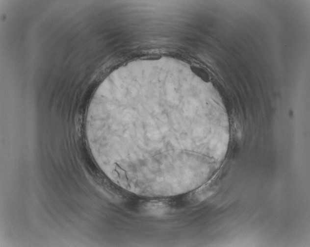 X0000067350171200604281451