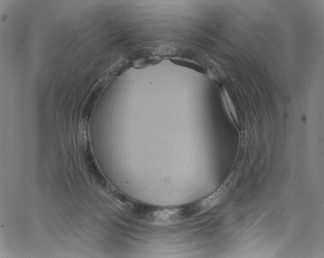 X0000067350172200604281451