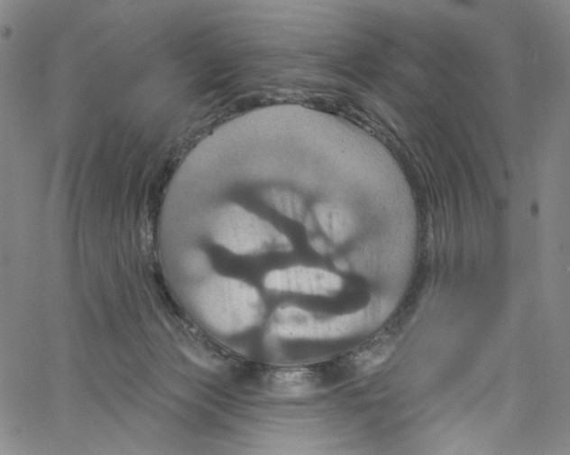 X0000067350173200604281451