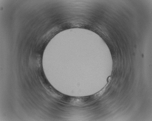 X0000067350174200604281451