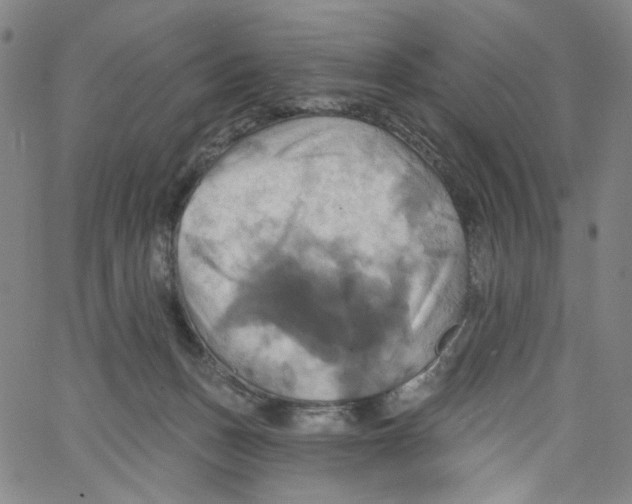 X0000067350175200604281451