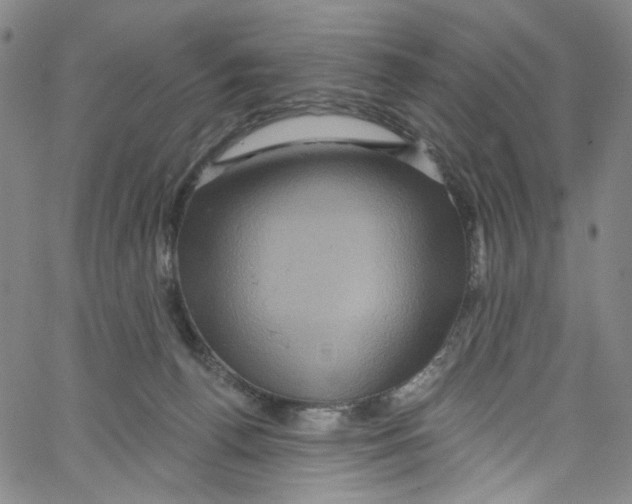 X0000067350176200604281451