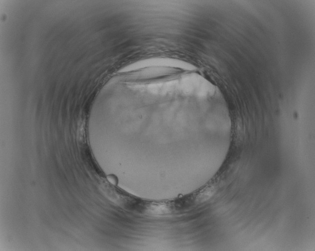 X0000067350177200604281451