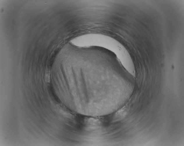 X0000067350180200604281451