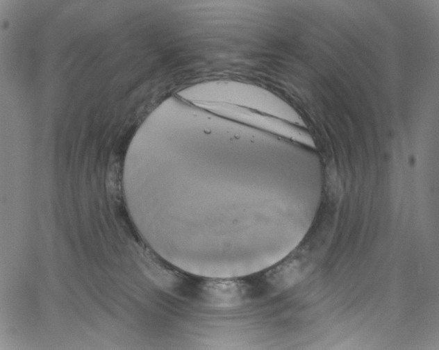 X0000067350181200604281451