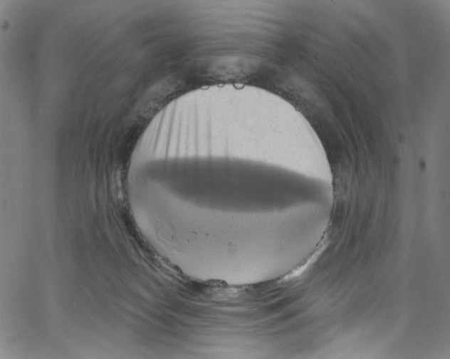 X0000067350182200604281451