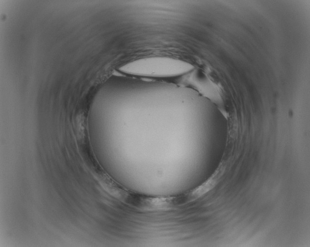 X0000067350184200604281451