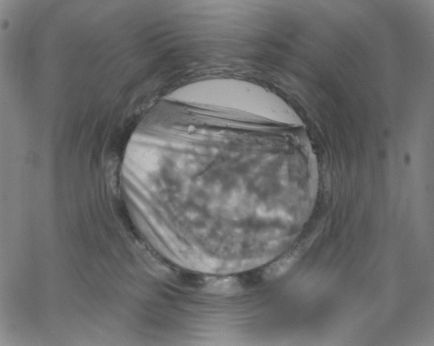 X0000067350185200604281451