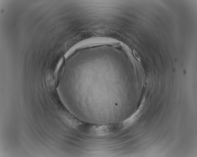 X0000067350186200604281451