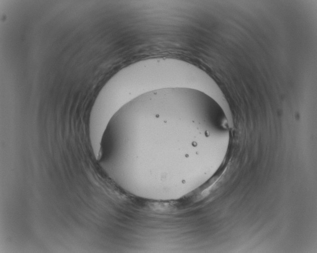 X0000067350187200604281451