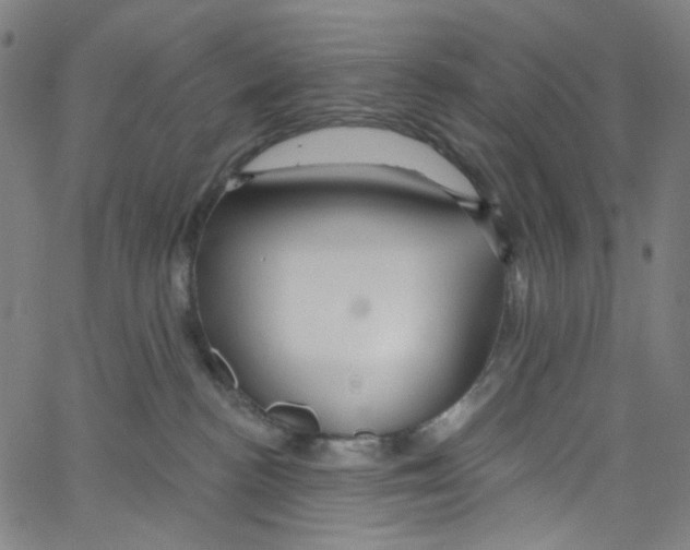 X0000067350188200604281451