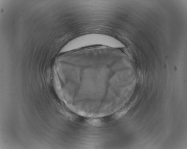 X0000067350189200604281451