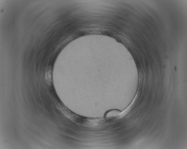 X0000067350190200604281451