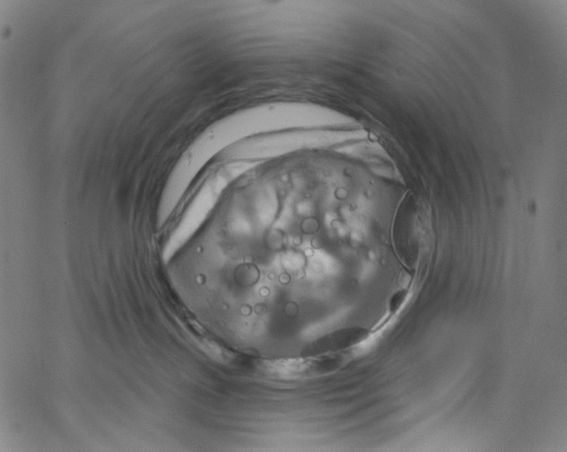 X0000067350191200604281451