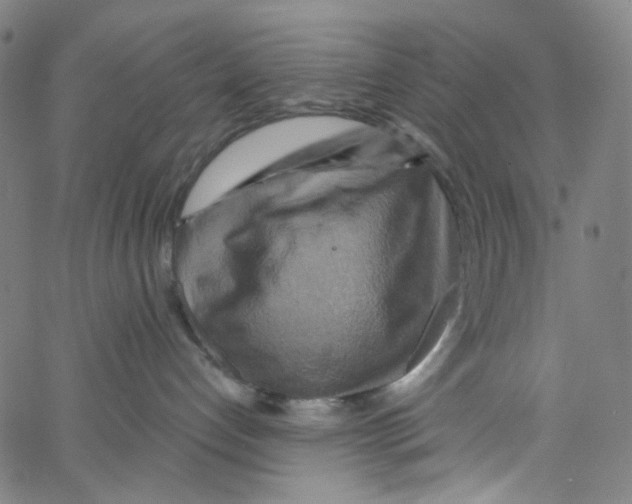 X0000067350192200604281451