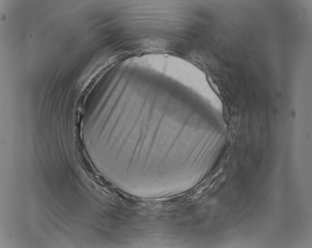 X0000067350194200604281450