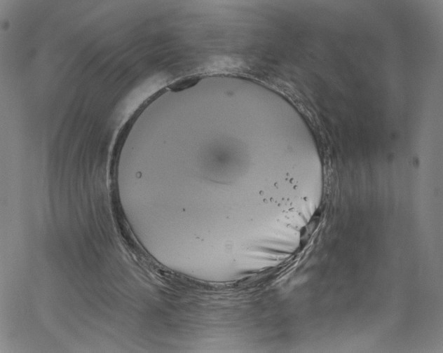 X0000067350196200604281450