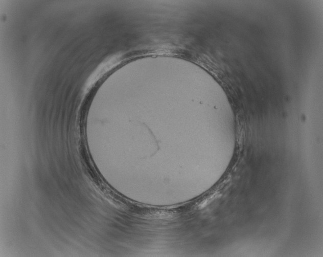 X0000067350198200604281450