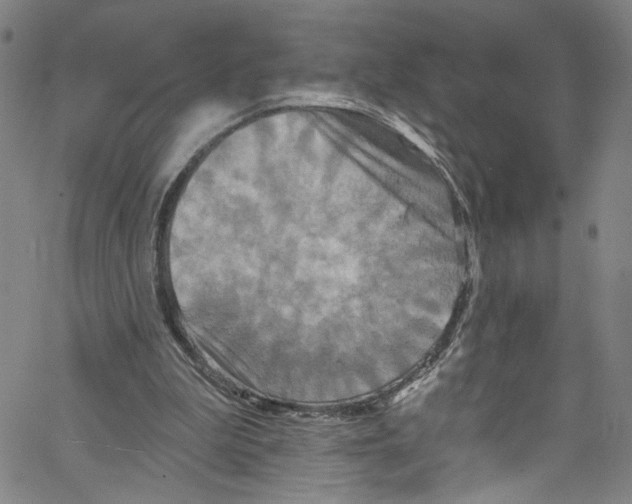 X0000067350199200604281450