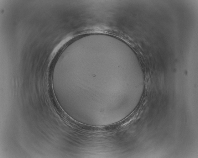 X0000067350200200604281450