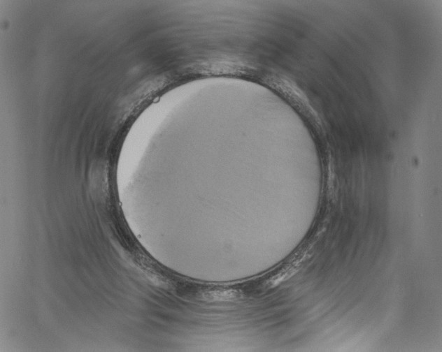 X0000067350202200604281450