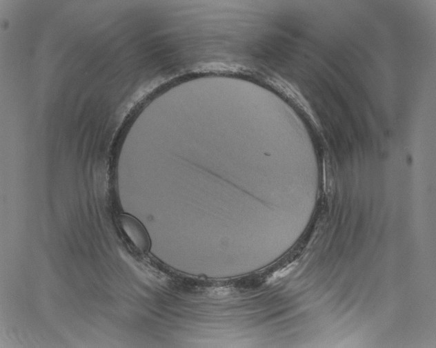 X0000067350204200604281450