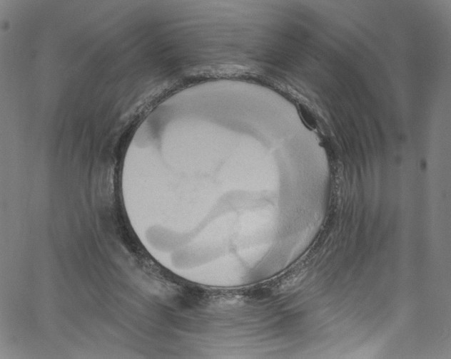 X0000067350206200604281450