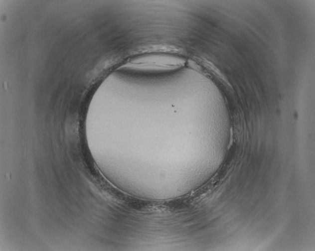 X0000067350207200604281450