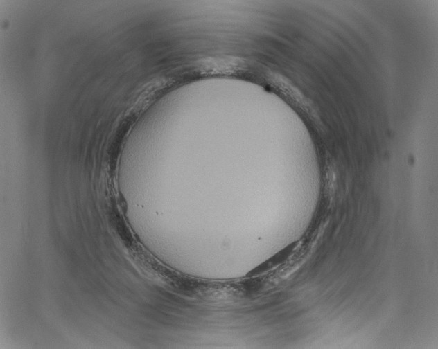 X0000067350209200604281450