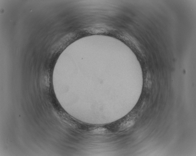 X0000067350210200604281450