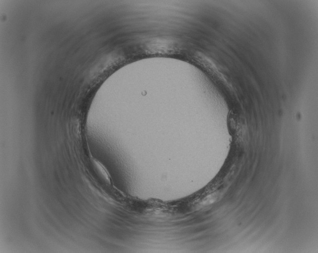 X0000067350211200604281450