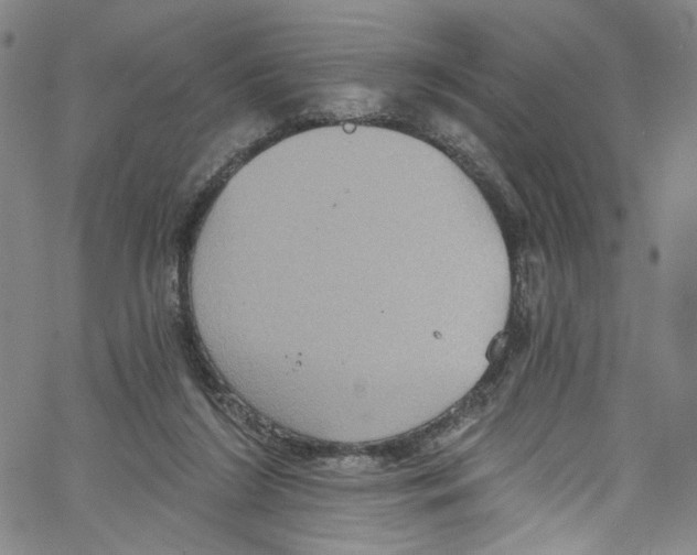 X0000067350212200604281450