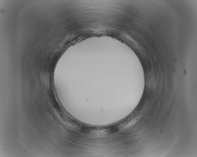 X0000067350213200604281450