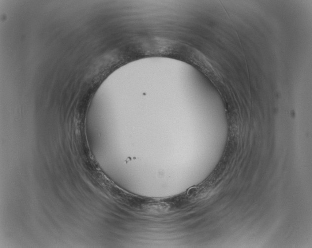 X0000067350215200604281450