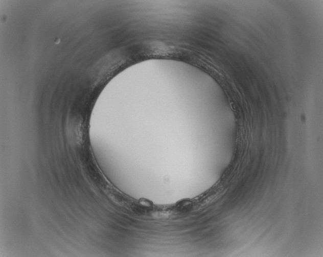 X0000067350216200604281450