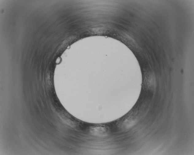 X0000067350220200604281450