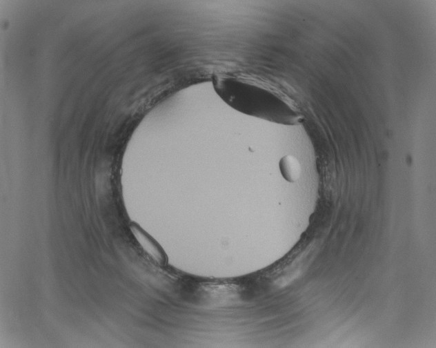 X0000067350221200604281450