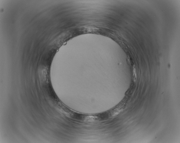 X0000067350222200604281450