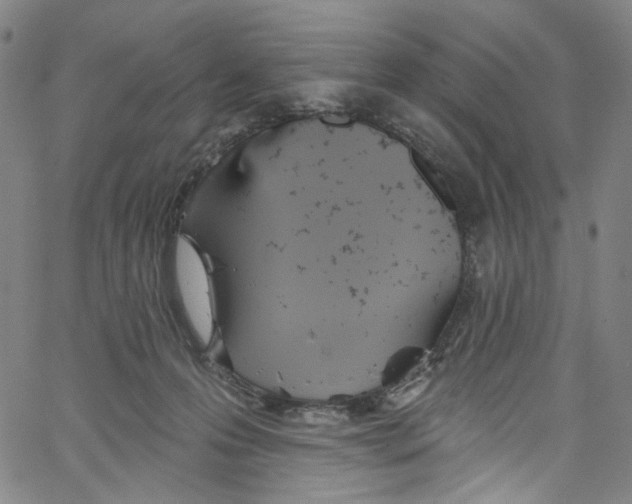 X0000067350223200604281450